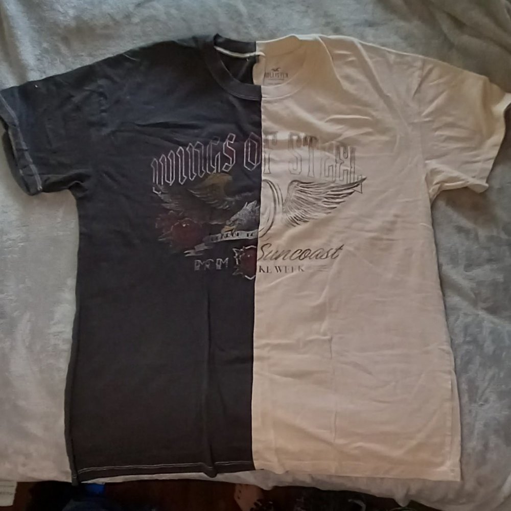 Hollister Wings of Steel Graphic Tee